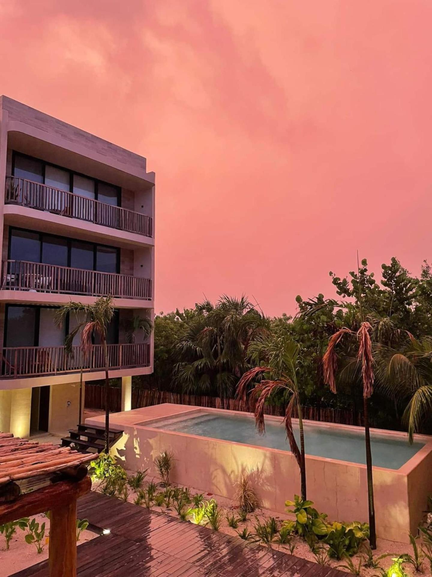 מלון הולבוקס איילנד Ocean View Loft In Punta Cocos - C102 מראה חיצוני תמונה
