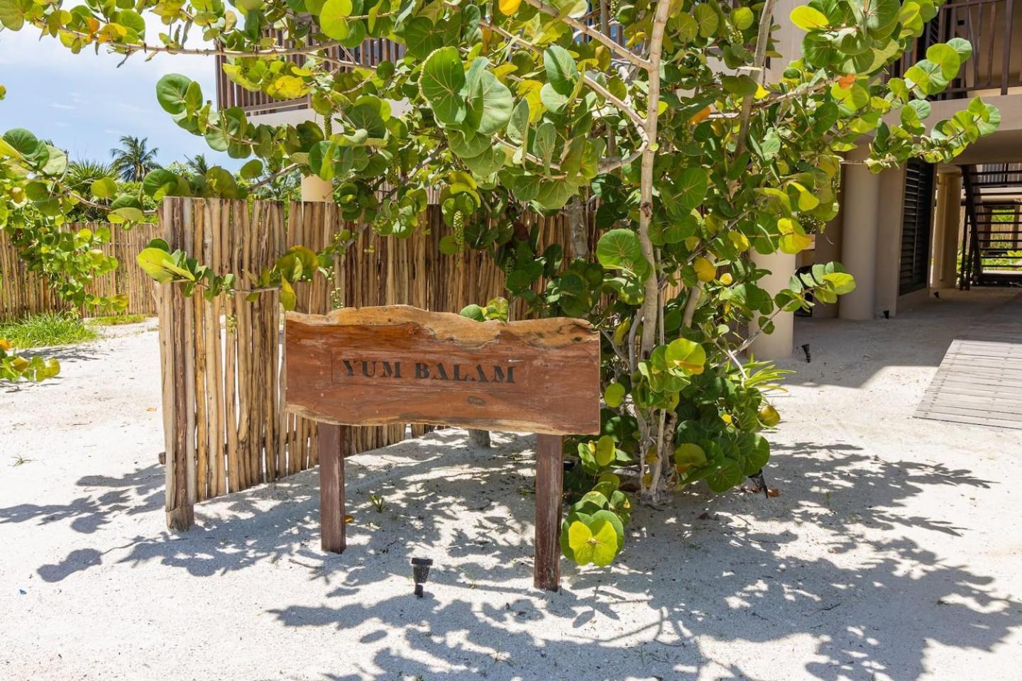 מלון הולבוקס איילנד Ocean View Loft In Punta Cocos - C102 מראה חיצוני תמונה